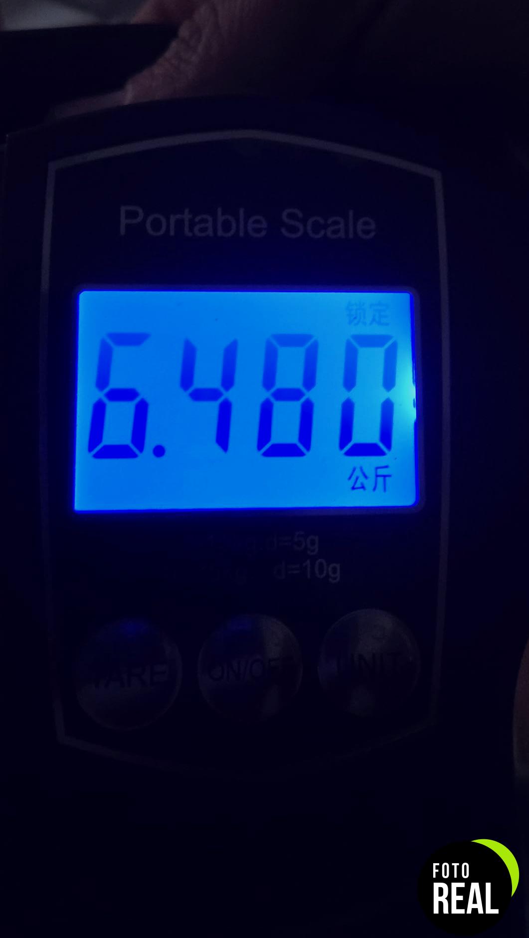 bascula-pesca-viaje-lcd-110lb-foto-3